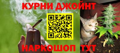 мяу мяу мука Кунгур