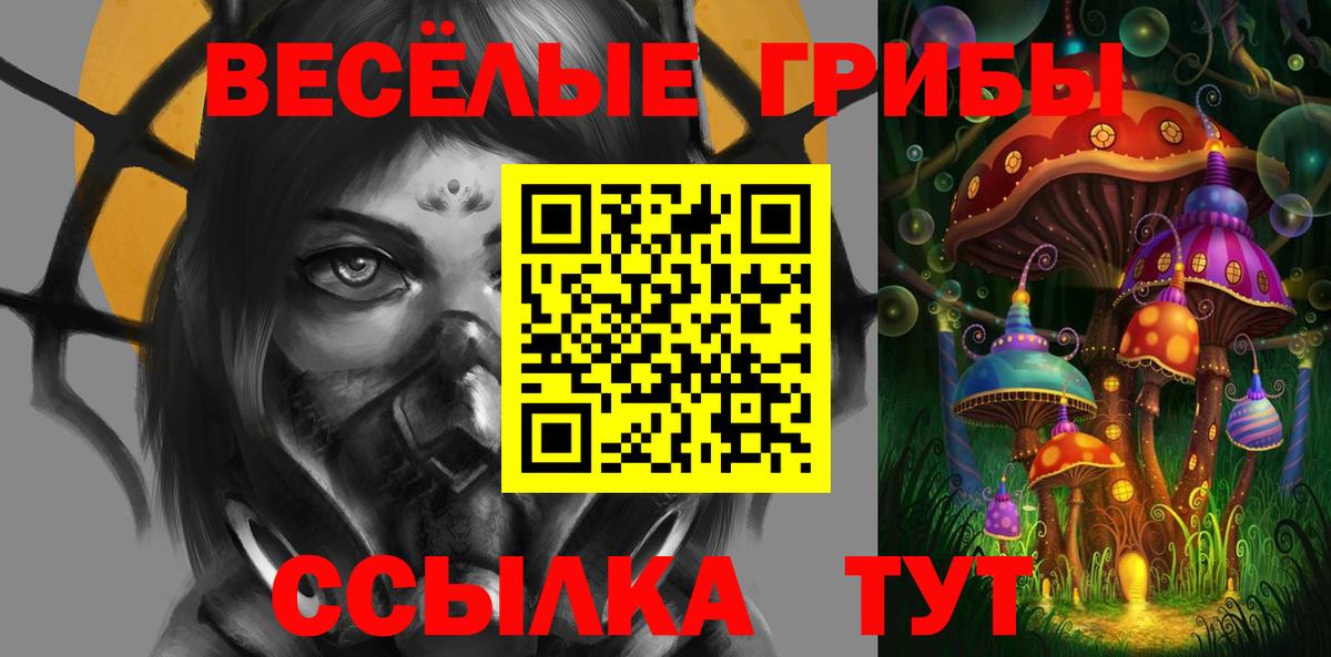 Кингисепп  Галлюциногенные грибы Cubensis  Вход с VPN 