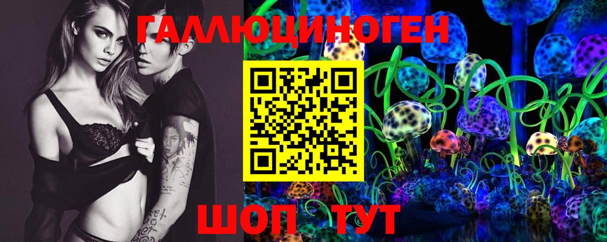 Псилоцибиновые грибы Psilocybe Кингисепп